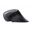 Trust Verro mouse Office Right-hand RF Wireless Optical 1600 DPI