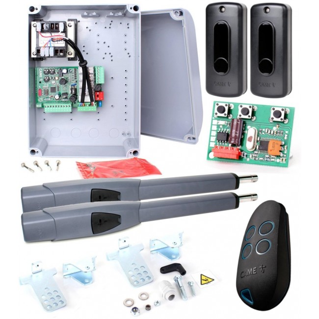 CAME ATS 30AGS STANDARD 230V SPACE set for swing gates