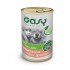 OASY One Protein Adult Medium/Large Salmon - wet dog food - 400g