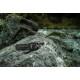 Ansmann TS1000RF Black Hand flashlight LED