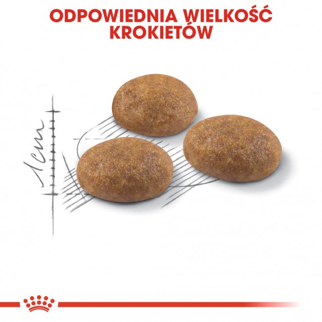 Royal Canin Outdoor dry cat food 2 kg