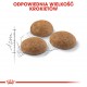 Royal Canin Outdoor dry cat food 2 kg