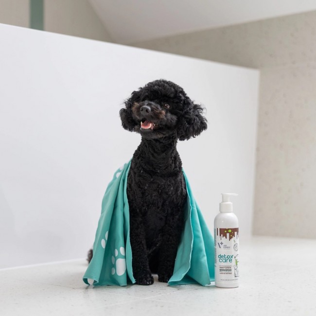 VETEXPERT Detox Care Deep Dark Shampoo - shampoo for dogs and cats - 250 ml VETEXPERT Detox Care Deep Dark Shampoo - shampoo for dogs and cats - 250 ml