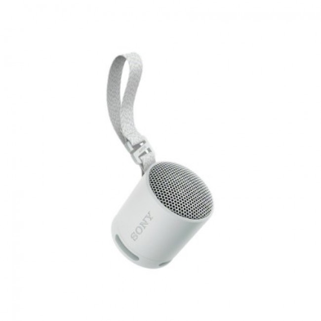 Sony SRS-XB100 - Wireless Bluetooth Portable Speaker, Durable IP67 Waterproof & Dustproof, 16 Hour Battery, Eco, Outdoor and Travel in Light Grey