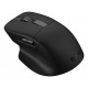 ASUS ProArt MD301 mouse Universal Right-hand RF Wireless + Bluetooth + USB Type-A Optical 8000 DPI