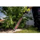 Metabo HS 18 LTX 55 Single blade 2.2 kg