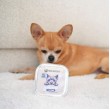 PAKA ZWIERZAKA Pork with blueberries Mono - wet dog food - 150g