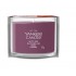 Mini Candle AUTUMN DAYDREAM YANKEE 37 g