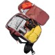Deuter Alproof Tour 36 + 5 SL avalanche backpack - redwood/black Deuter Alproof Tour 36 + 5 SL avalanche backpack - redwood/black