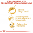 ROYAL CANIN Persian Adult - dry cat food - 2kg