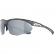 Alpina Nylos HR Sunglasses cat. 3 Grey