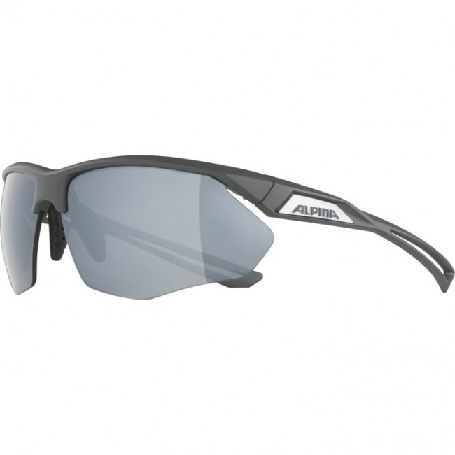 Alpina Nylos HR Sunglasses cat. 3 Grey Alpina Nylos HR Sunglasses cat. 3 Grey