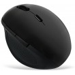 LogiLink ID0139 mouse Office Right-hand RF Wireless Optical 1600 DPI LogiLink ID0139 mouse Office Right-hand RF Wireless Optical 1600 DPI