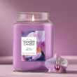 Scented Candle YANKEE CANDLE WILD ORCHID 567 g Large