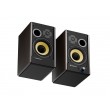 GENESIS Arsen 502BT Bronze 2-way Wired & Wireless 60 W