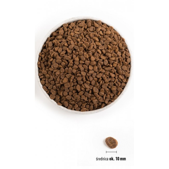 ORIJEN Six Fish Cat - dry cat food - 5,4kg
