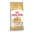 Royal Canin Sphynx dry cat food 2 kg