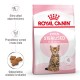 Royal Canin Kitten Sterilised cats dry food 3.5 kg Poultry Royal Canin Kitten Sterilised cats dry food 3.5 kg Poultry