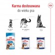 ROYAL CANIN Maxi Ageing Loaf - wet dog food - 410g