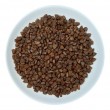 WIEJSKA ZAGRODA Monoprotein Salmon - dry cat food - 3kg