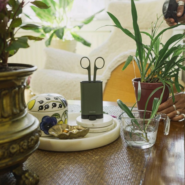 Plant Care Set for Plants 3 pcs