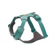 Ruffwear 30503-355S1 dog/cat harness XS Green Nylon, Polyester No-pull harness