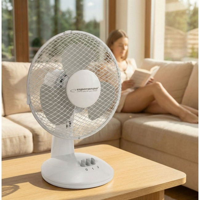 Desktop fan 9