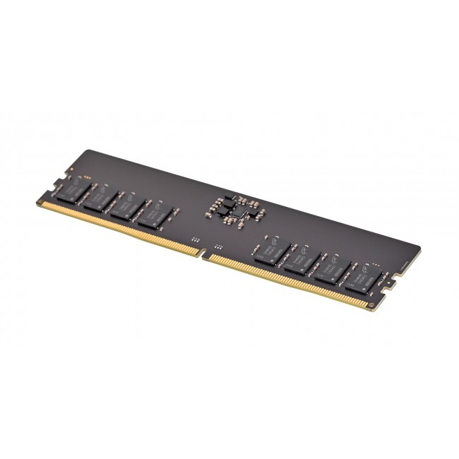 PNY Performance DDR5 5600MHz 16G memory module 16 GB 1 x 16 GB 288-pin DIMM