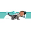 3COTY Chicken with duck Kidney care - wet cat food - 80g