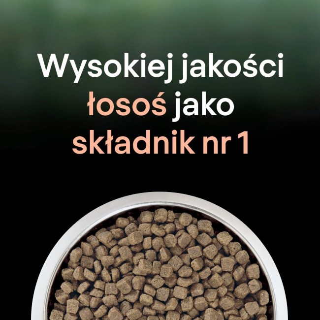 PURINA Pro Plan LiveClear Sterilised Rich in salmon - dry cat food - 1,4kg