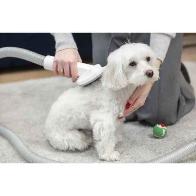 MPM MOD-1000 HOME CARE DEVICE FOR DOGS AND CATS