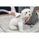 MPM MOD-1000 HOME CARE DEVICE FOR DOGS AND CATS