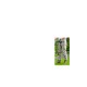 Bosch Easy GrassCut 18V-230 cordless grass shear