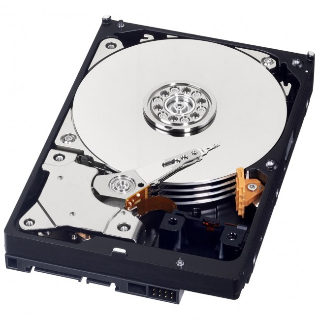 Western Digital Blue internal hard drive 1 TB 7200 RPM 64 MB 3.5