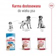 ROYAL CANIN Medium Ageing Loaf - wet dog food - 410g