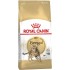 ROYAL CANIN FBN Bengal Adult - dry cat food - 10kg