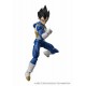 DRAGON BALL SUPER EVOLVE - VEGETA