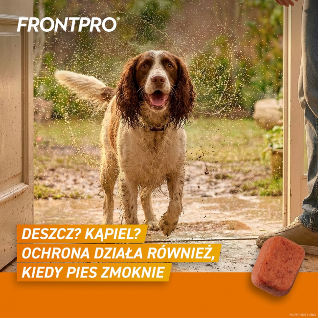 FRONTPRO Flea and tick tablets for dog ( 10-25 kg) - 3x 68mg