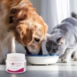 JM SANTE Vet Protector Gastro - Biotyk - multibiotic for dogs and cats 60 g