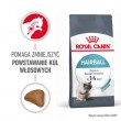 Royal Canin Hairball Care cats dry food 10 kg Adult Corn, Poultry, Rice, Vegetable
