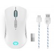Lenovo Legion M600 Wireless Gaming mouse Ambidextrous RF Wireless + Bluetooth + USB Type-A Optical 16000 DPI Lenovo Legion M600 Wireless Gaming mouse Ambidextrous RF Wireless + Bluetooth + USB Type-A Optical 16000 DPI