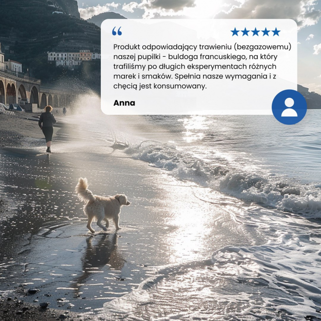 FARMINA N&D Ocean Dog Salmon, Cod, Cantaloupe, Melon Adult Mini - dry dog food - 2.5 kg