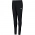 Puma teamRISE Poly Training Pants Jr black 657391 03 164cm