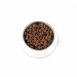 PUPIL Premium Medium and large breeds Rich in beef - dry dog food - 12kg PUPIL Premium Medium and large breeds Rich in beef - dry dog food - 12kg