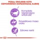 ROYAL CANIN Sterilised 7+ - dry cat food - 10 kg ROYAL CANIN Sterilised 7+ - dry cat food - 10 kg