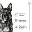 ROYAL CANIN Maxi Ageing Loaf - wet dog food - 410g