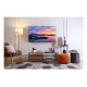 TCL S59K 32S59K TV 81.3 cm (32 TCL S59K 32S59K TV 81.3 cm (32