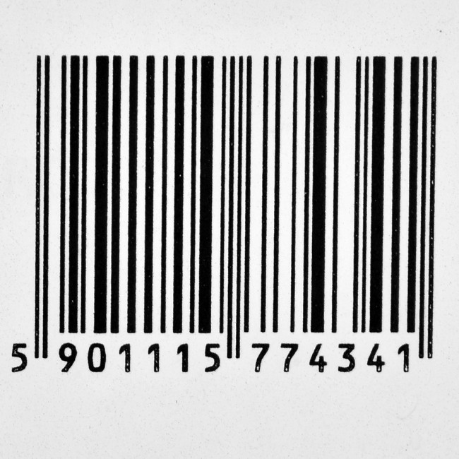 VIKING STIG TREKKING POLES