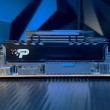 Patriot Memory Signature Line Premium PSP548G56002H1 memory module 16 GB 1 x 16 GB DDR5 5600 MT/s 288-pin DIMM