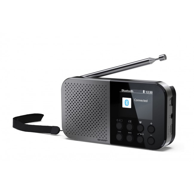 Sharp DR-P520 Personal Digital Grey Sharp DR-P520 Personal Digital Grey